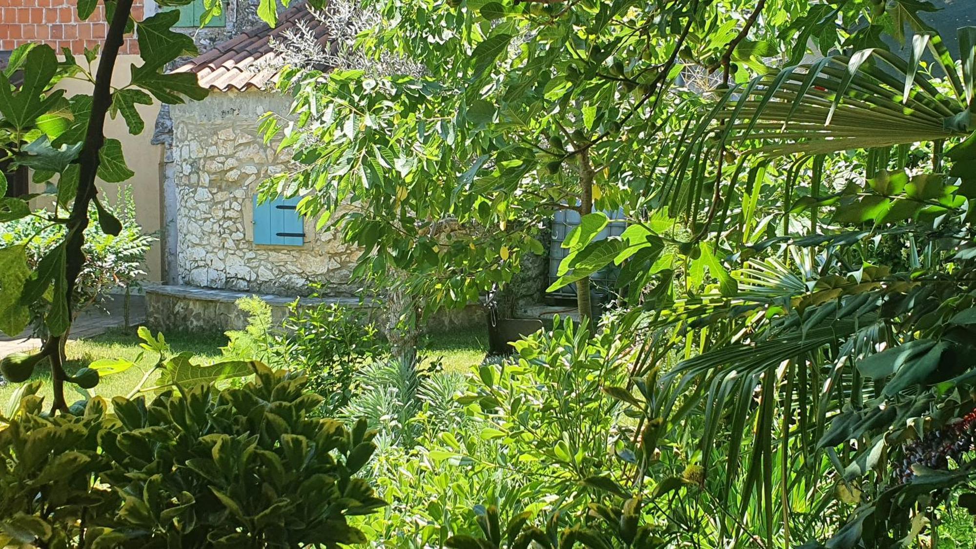 Villa Kazun Marčana Exterior foto